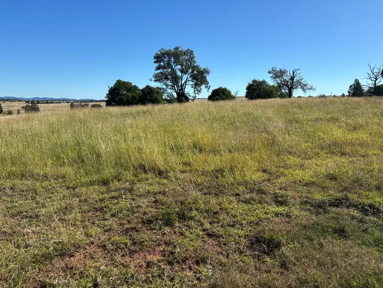 Third view of Homely land listing, LOT 52, Salter Street, Bingara NSW 2404