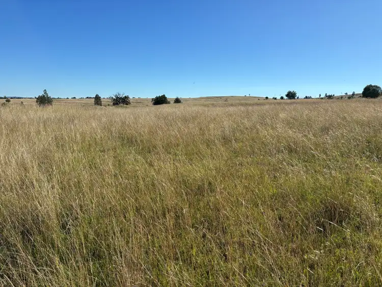 Seventh view of Homely land listing, LOT 52, Salter Street, Bingara NSW 2404