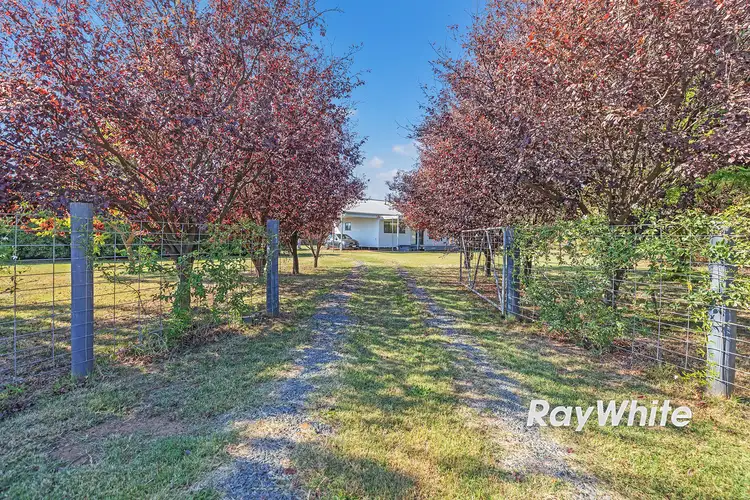 Main view of Homely rural property listing, 891 Bamawm Road, Bamawm VIC 3561