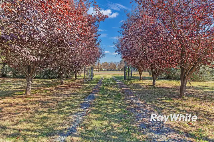 Second view of Homely rural property listing, 891 Bamawm Road, Bamawm VIC 3561