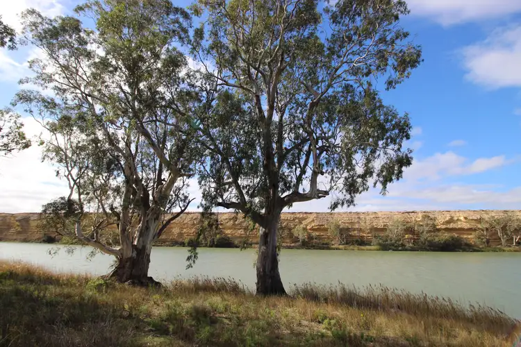 3889 Murraylands Road, Blanchetown SA 5357