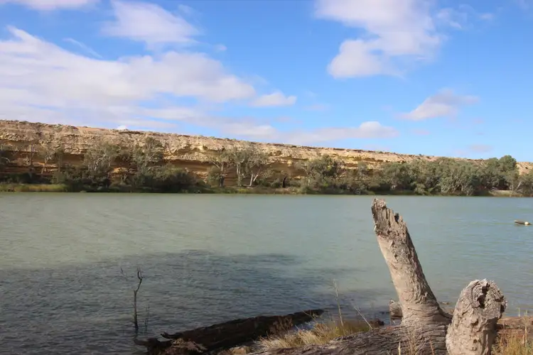 Fifth view of Homely rural property listing, 3889 Murraylands Road, Blanchetown SA 5357