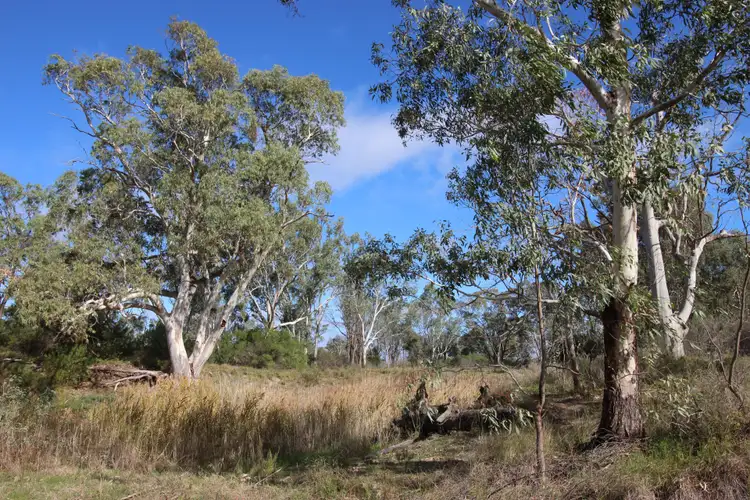 Sixth view of Homely rural property listing, 3889 Murraylands Road, Blanchetown SA 5357