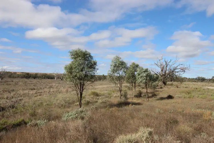 Seventh view of Homely rural property listing, 3889 Murraylands Road, Blanchetown SA 5357