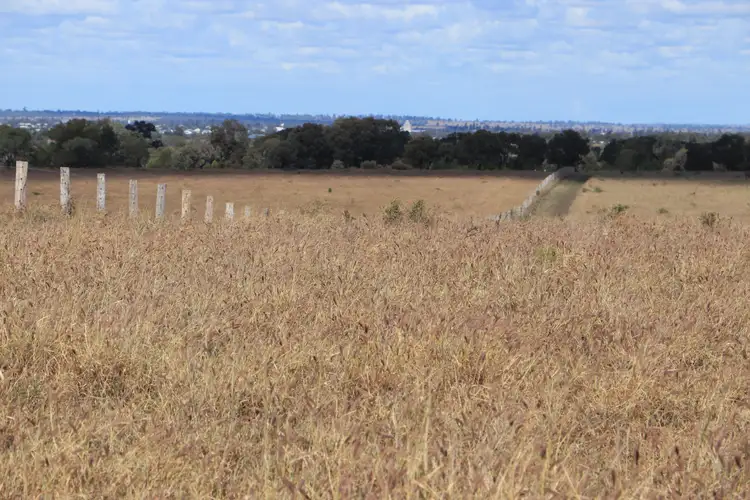 Second view of Homely rural property listing, 0 Orallo Road, Roma QLD 4455
