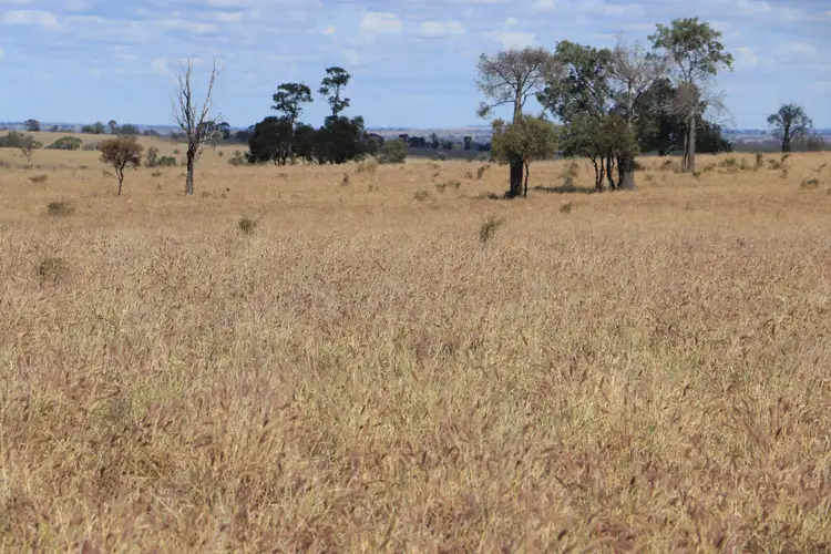 Fifth view of Homely rural property listing, 0 Orallo Road, Roma QLD 4455
