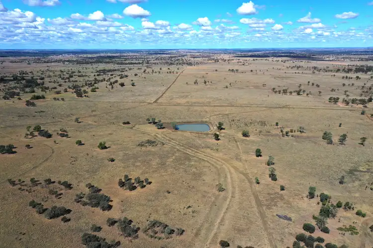 Sixth view of Homely rural property listing, 0 Orallo Road, Roma QLD 4455