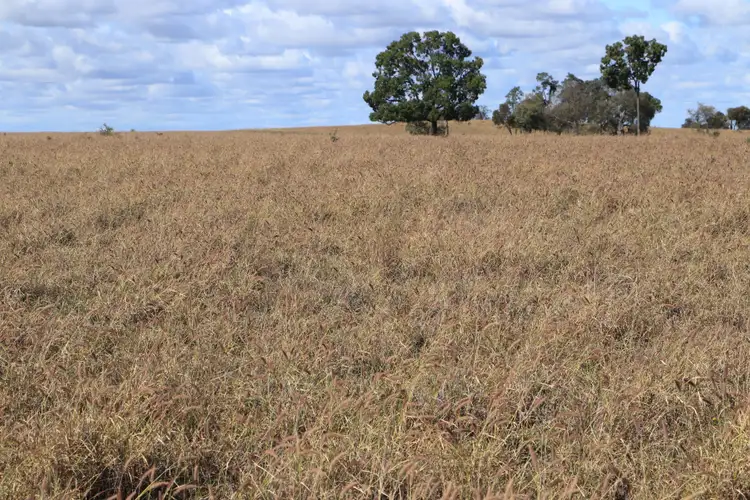 Seventh view of Homely rural property listing, Address available on request