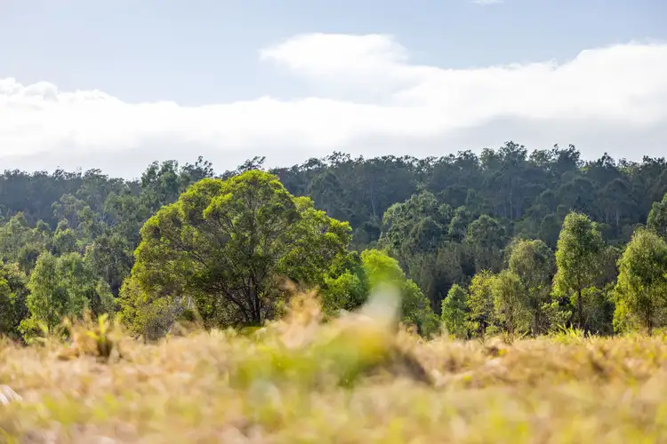Third view of Homely land listing, 16 Baupleview Road, St Mary QLD 4650