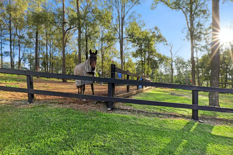 Third view of Homely house listing, 15 Boomerang Drive, Glossodia NSW 2756