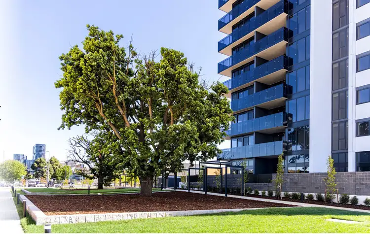Second view of Homely apartment listing, 14/9 Irving Street, Phillip ACT 2606