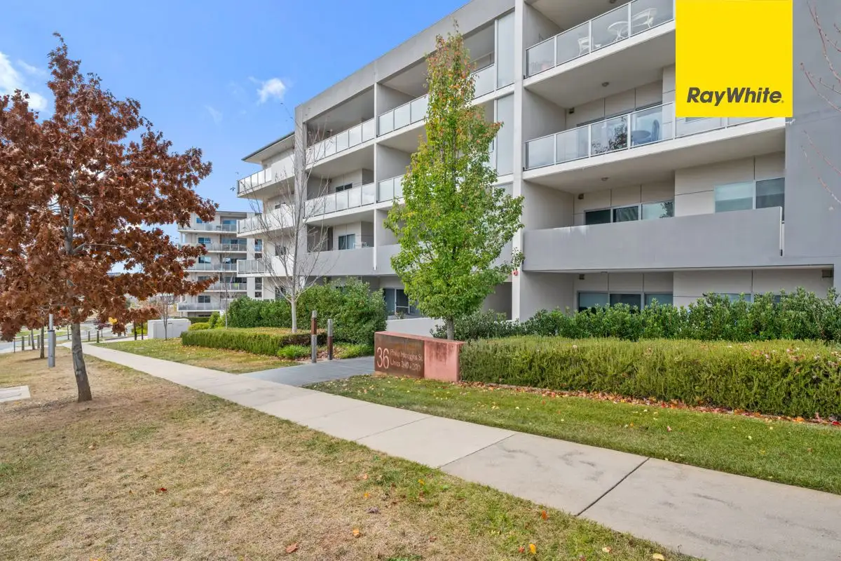 Main view of Homely apartment listing, 257/36 Philip Hodgins Street, Wright ACT 2611