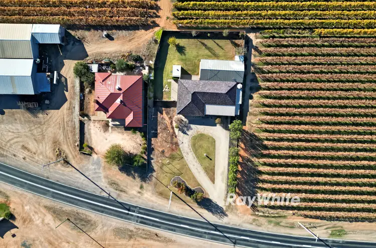 Main view of Homely house listing, 91 Cary Street, Euston NSW 2737