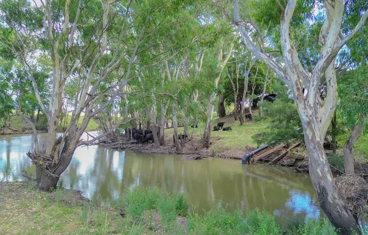 Third view of Homely rural property listing, 141 Lyndhurst Lane, Rosenthal Heights QLD 4370