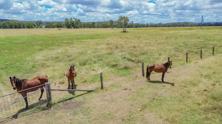 Fourth view of Homely rural property listing, 141 Lyndhurst Lane, Rosenthal Heights QLD 4370