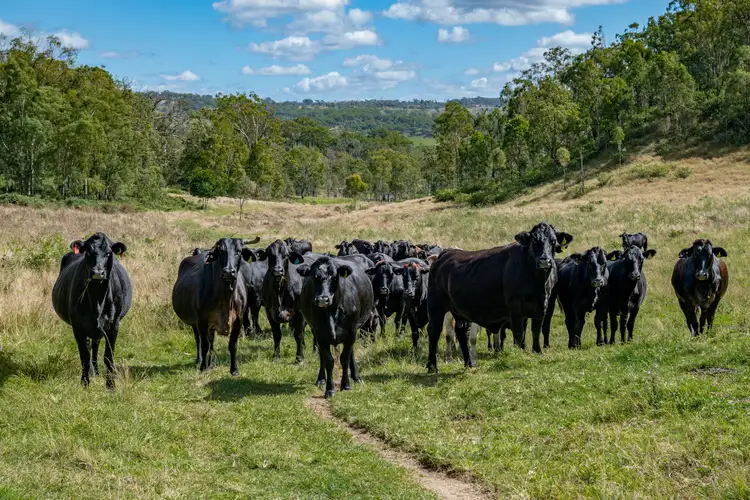 Second view of Homely rural property listing, 1942-1958 Esk Crows Nest Road, Biarra QLD 4313