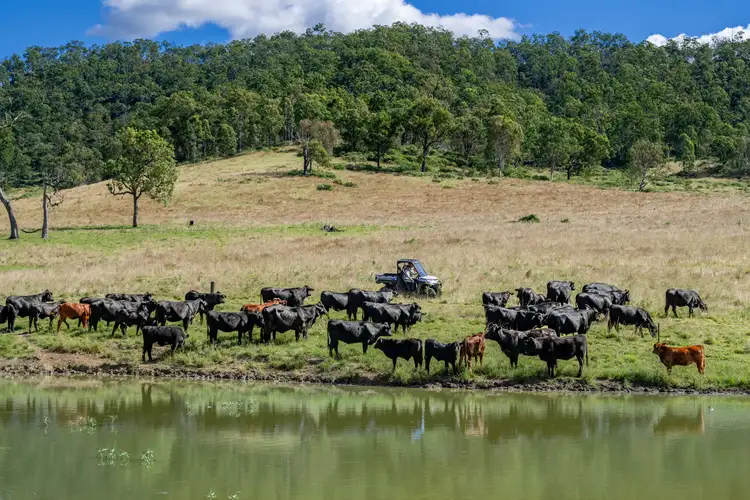 Third view of Homely rural property listing, 1942-1958 Esk Crows Nest Road, Biarra QLD 4313
