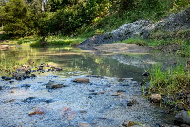 Fourth view of Homely rural property listing, 1942-1958 Esk Crows Nest Road, Biarra QLD 4313