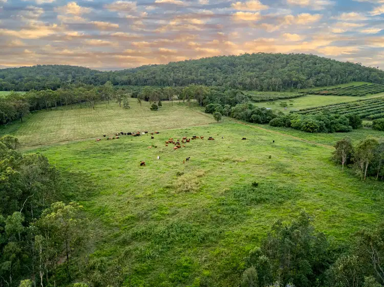 Main view of Homely rural property listing, 24 Petersen Road, Koumala QLD 4738