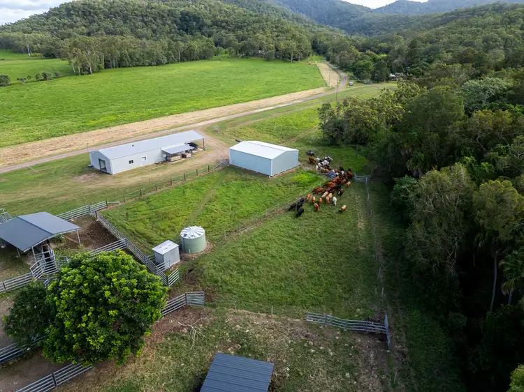 Sixth view of Homely rural property listing, 24 Petersen Road, Koumala QLD 4738