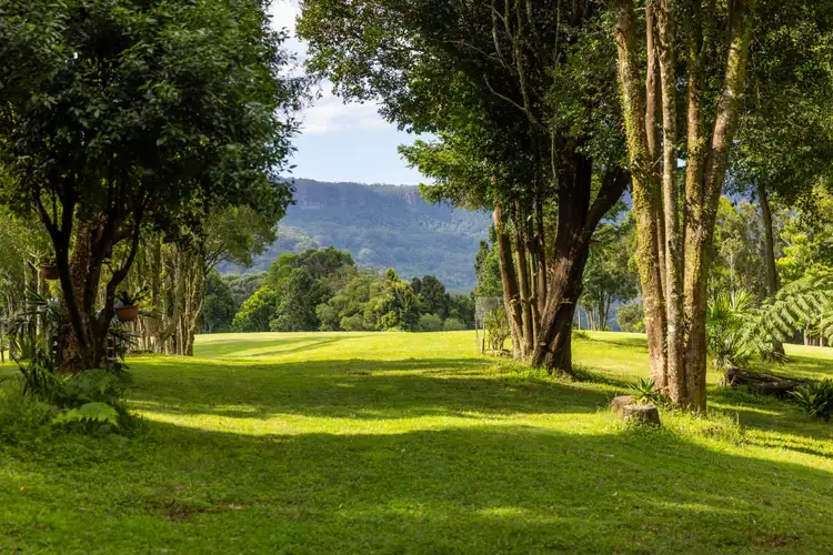 Fifth view of Homely house listing, 669 Woodhill Mountain Road, Woodhill NSW 2535