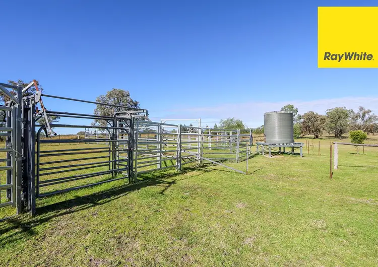 Third view of Homely rural property listing, 314 Wearnes Road, Bundarra, Inverell NSW 2360