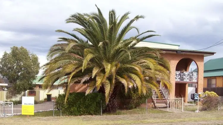 Main view of Homely unit listing, 4/10 High Street, Inverell NSW 2360
