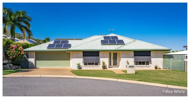 14 Cycad Court, Norman Gardens QLD 4701