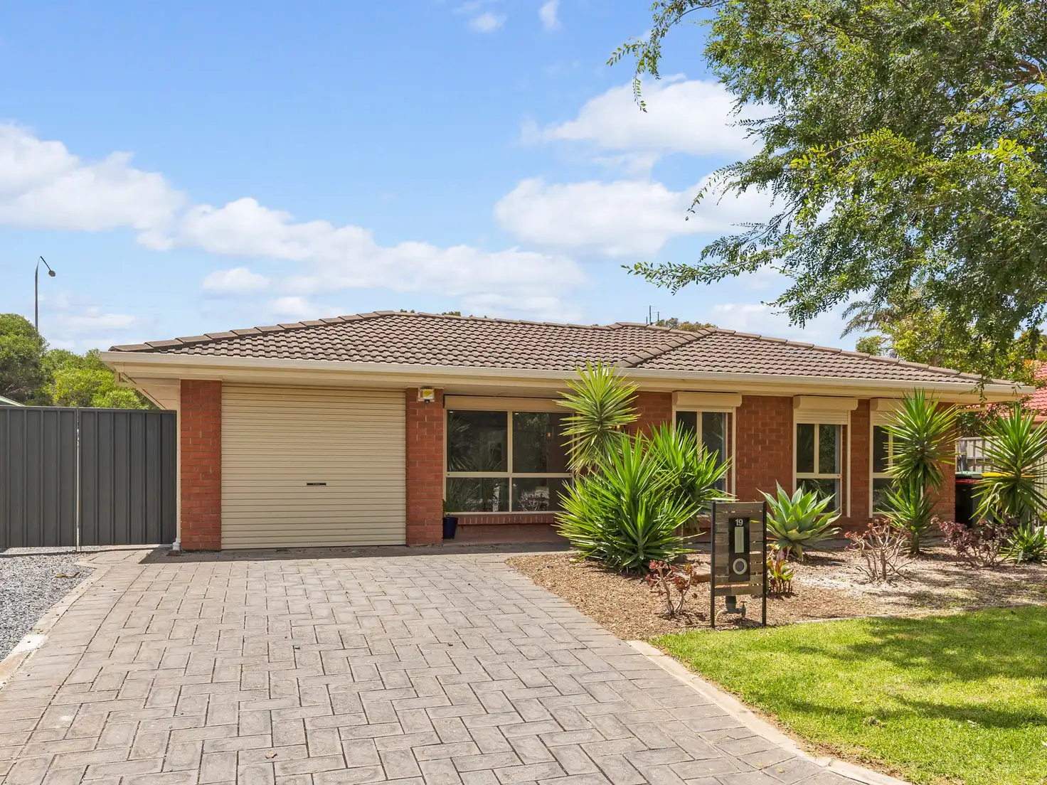 Main view of Homely house listing, 19 Birch Avenue, Seaford SA 5169