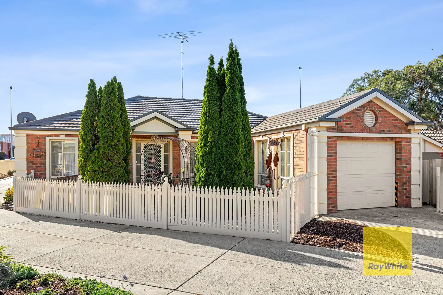 Main view of Homely house listing, 53 Broughton Drive, Highton VIC 3216