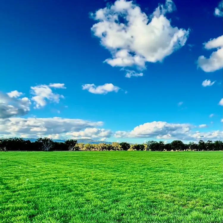 2824 Neilrex Road, Coolah NSW 2843
