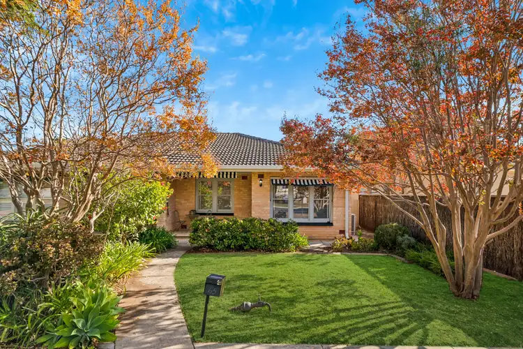 4/65 Northumberland Street, Tusmore SA 5065