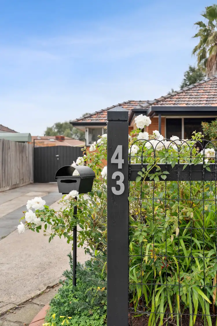 Second view of Homely house listing, 43 Pinewood Drive, Thomastown VIC 3074