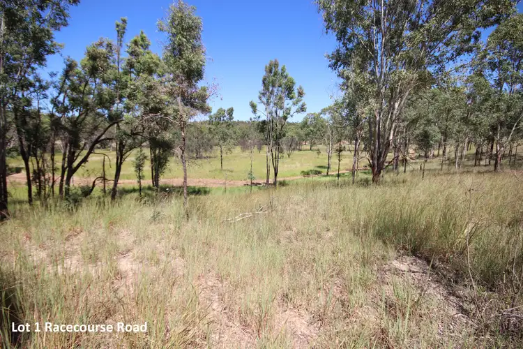 Fifth view of Homely rural property listing, 0 Radio Station Road & Racecourse Road, Eidsvold QLD 4627