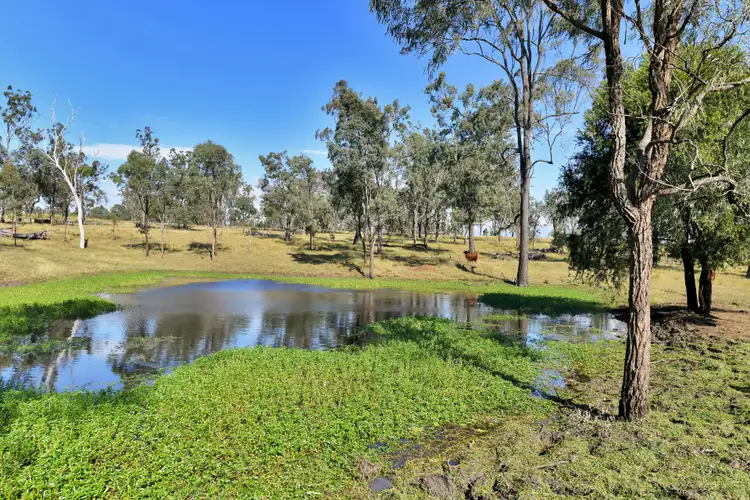 Second view of Homely rural property listing, 515 Coleyville Road, Coleyville QLD 4307
