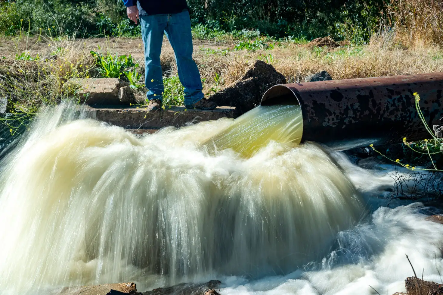 Main view of Homely rural property listing, Address available on request