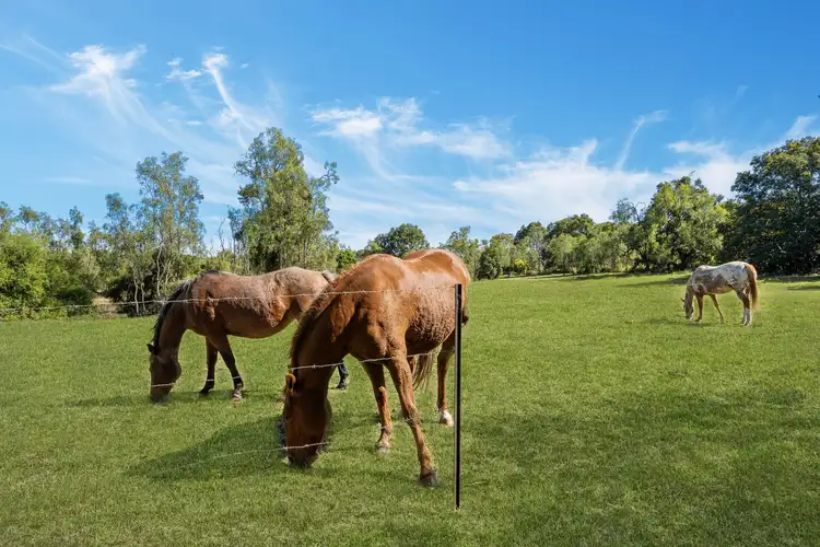 Fifth view of Homely rural property listing, 51 Laidley - Plainland Road, Plainland QLD 4341