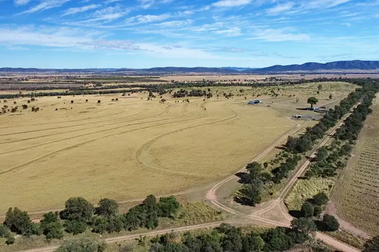 Main view of Homely rural property listing, "Top of the Hill" Davies Road, Isla QLD 4719