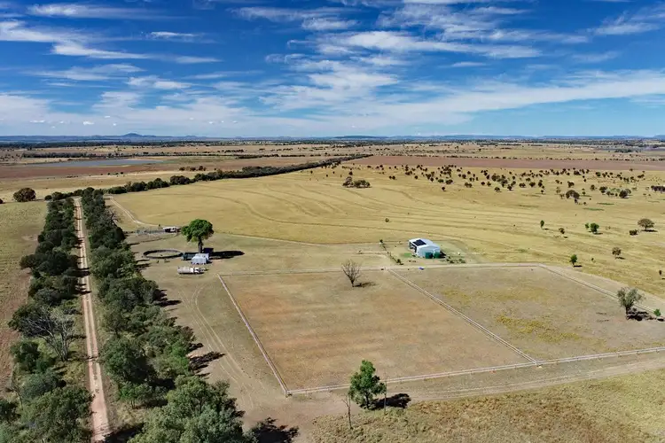 Seventh view of Homely rural property listing, "Top of the Hill" Davies Road, Isla QLD 4719