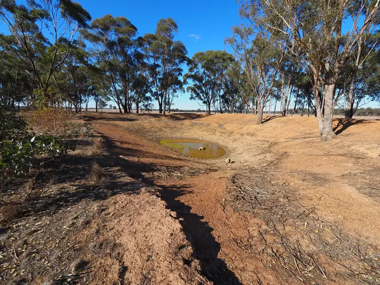 Seventh view of Homely land listing, 74 Deadhorse Lane, Bowenvale VIC 3465