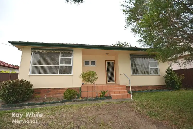 20 Mcilvenie Street, Canley Heights NSW 2166