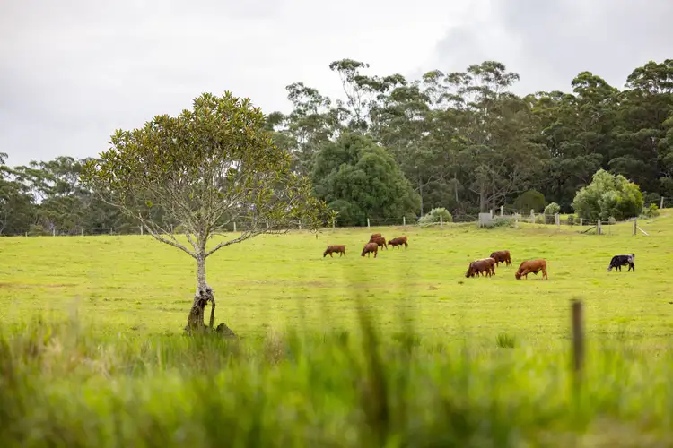 Third view of Homely land listing, LOT 3 - 376 Curramore Road, Curramore QLD 4552
