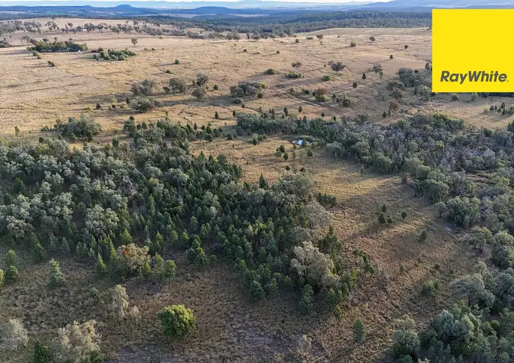 Fourth view of Homely rural property listing, 12042 Gwydir Highway, Warialda NSW 2402