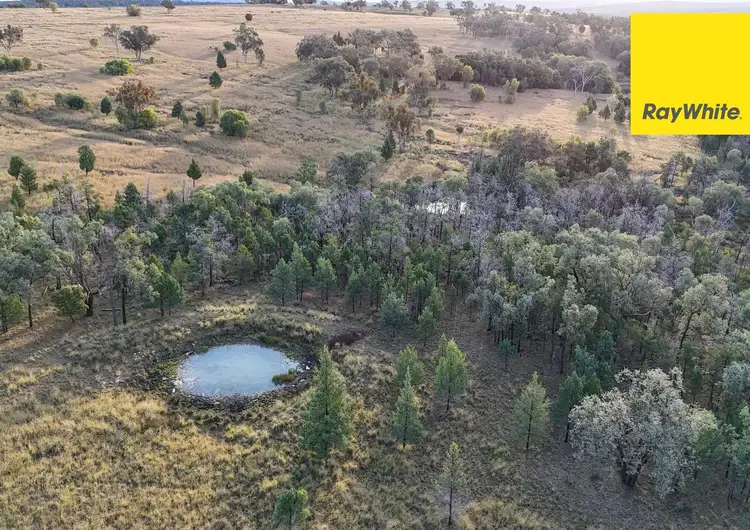 Fifth view of Homely rural property listing, 12042 Gwydir Highway, Warialda NSW 2402