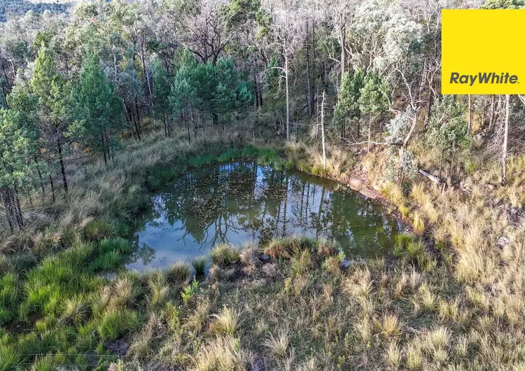 Sixth view of Homely rural property listing, 12042 Gwydir Highway, Warialda NSW 2402