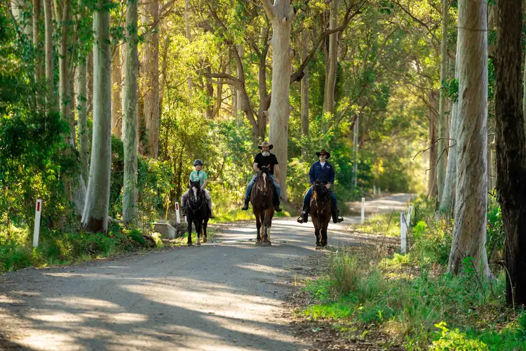 50 Comberton Grange Road, Falls Creek NSW 2540