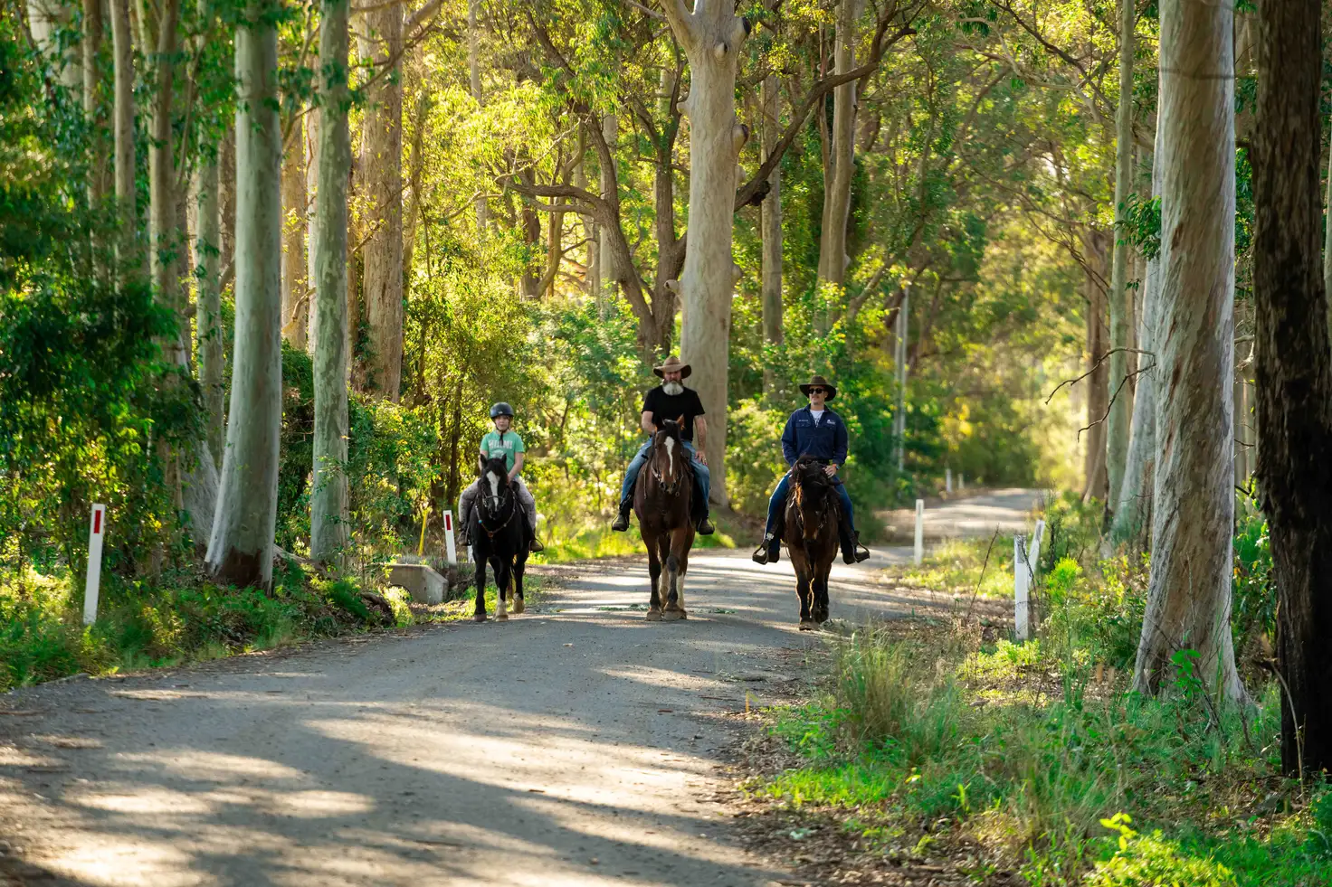 Main view of Homely rural property listing, 50 Comberton Grange Road, Falls Creek NSW 2540