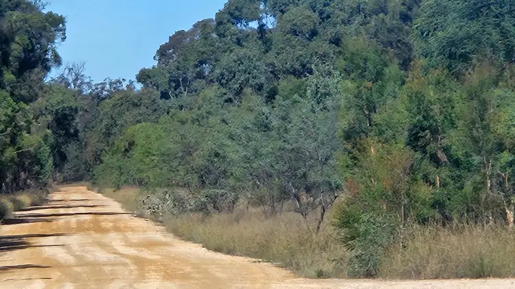 Third view of Homely land listing, LOT 21 Cypress Road, Ducklo QLD 4405