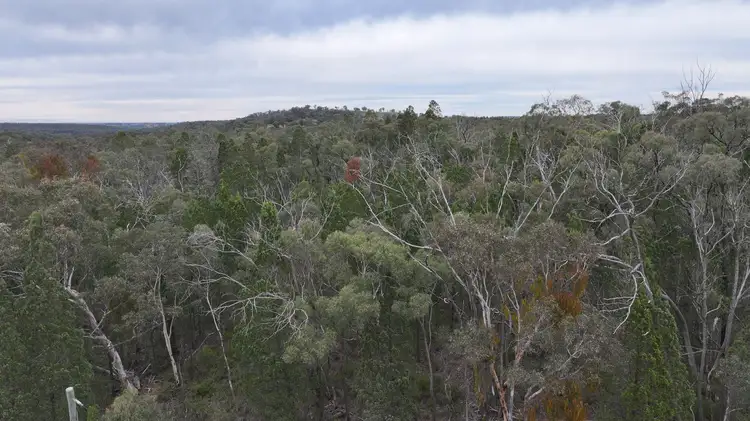 Third view of Homely land listing, LOT 24 Southern Cross Parade, Coonabarabran NSW 2357