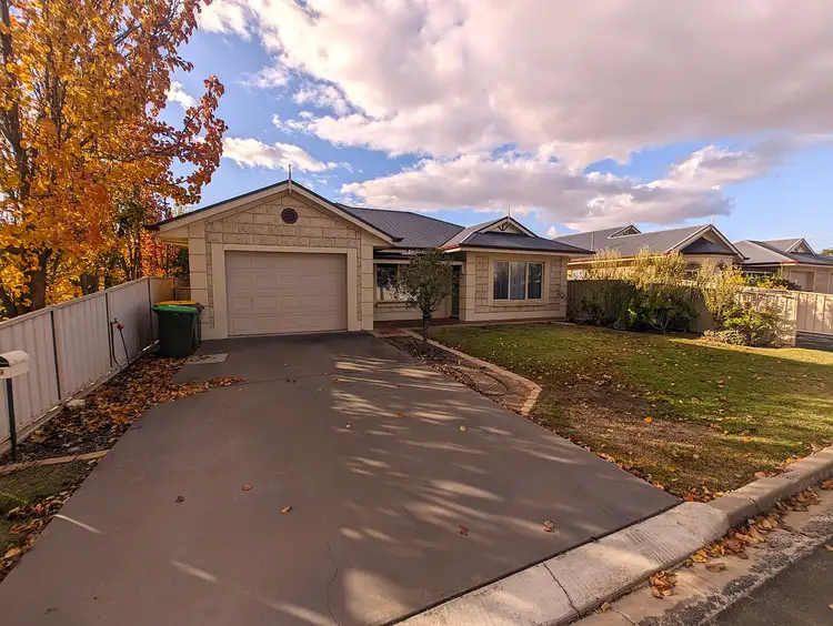 Main view of Homely house listing, 49 Cotton Street, Bordertown SA 5268